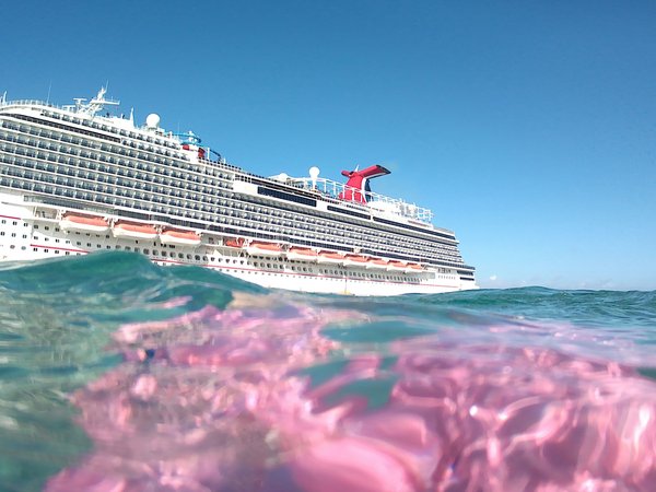 Comment organiser une croisière pour découvrir les plages de sable rose aux Bermudes?